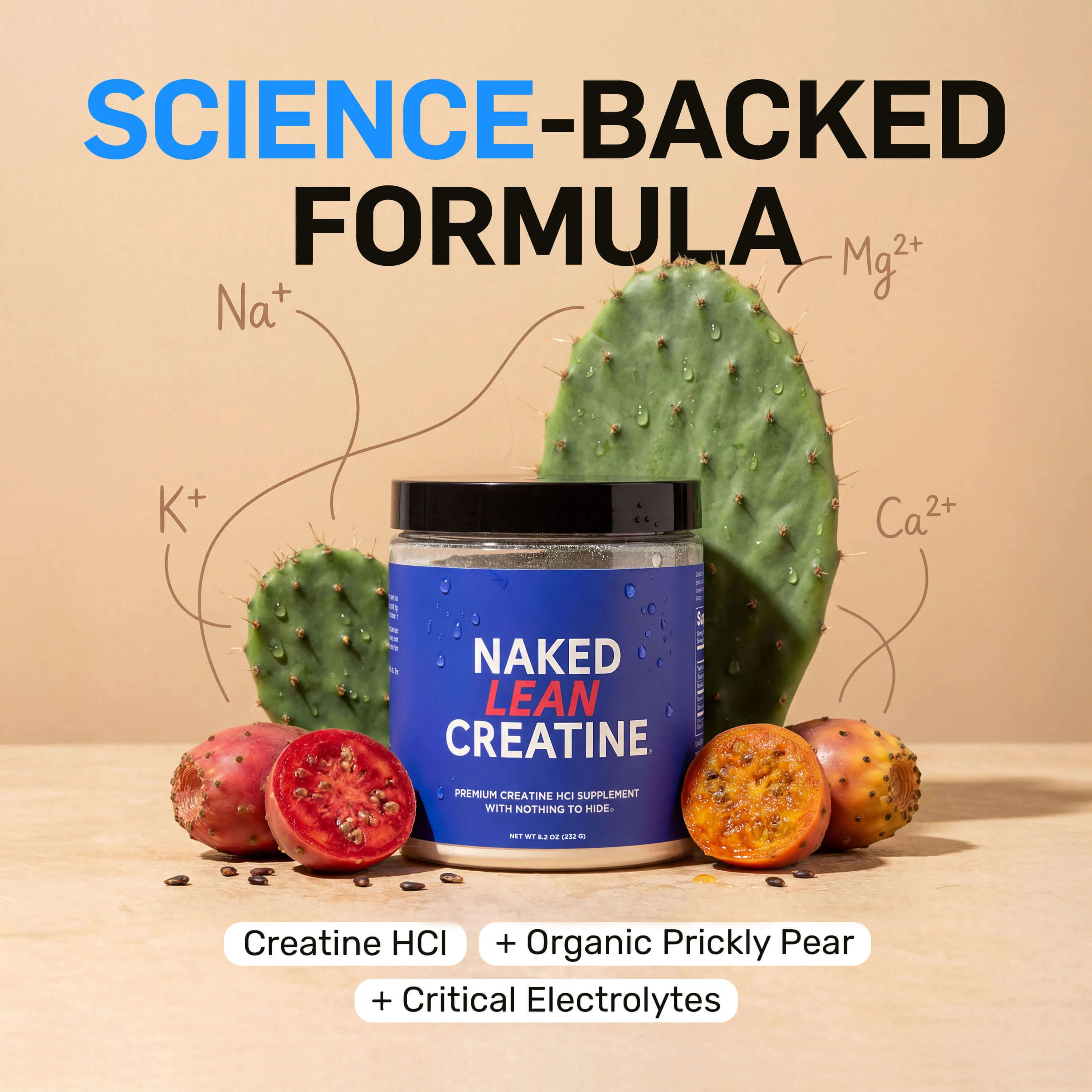 Creatine HCl Powder | Naked Lean Creatine - 232g - Image 3